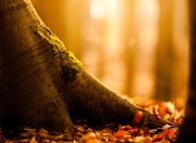 JNH体育-巴黎铁幕！孔德化身防守锁匠，窒息式布阵绞杀国际米兰