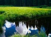 金年会博彩-赛场双子星，意甲战术风暴与NBA青春对决