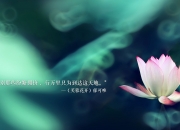 金年会网站-一粒十二码罚球改写史册，三笘薰的叹息与日本足球的光荣荆棘路