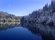 jinnianhui-欧冠神隐之夜，当米切尔用最安静的方式统治战场