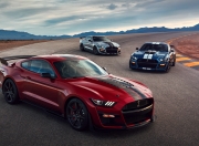 金年会-黄蜂关键战突围猛龙，意甲焦点战激情对决