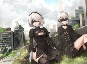 金年会网站-当约基奇遇上东北虎，一场颠覆认知的篮球对话