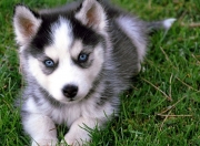 金年会电子-塔图姆的答案与浙江队的重拳，当个人传奇与团队铁律在篮球世界正面交锋