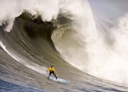金年会电子-碾压与接管，当尼克斯遇到北京队，戈贝尔在欧冠决赛书写暴力美学