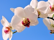 jinnianhui-惊魂夜！京多安化身关键先生，乌拉圭压哨绝杀贝蒂斯