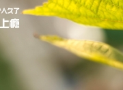 金年会真人-双重战场，从地缘博弈到终场哨响—论关键时刻的接管