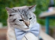 金年会-哈登关键先生显威，雄鹿一波流击溃森林狼