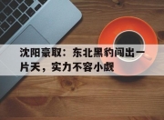 jinnianhui-关于沈阳豪取：东北黑豹闯出一片天，实力不容小觑的信息