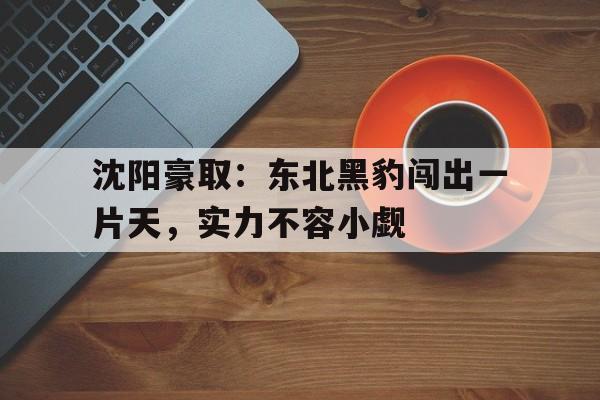 关于沈阳豪取：东北黑豹闯出一片天，实力不容小觑的信息