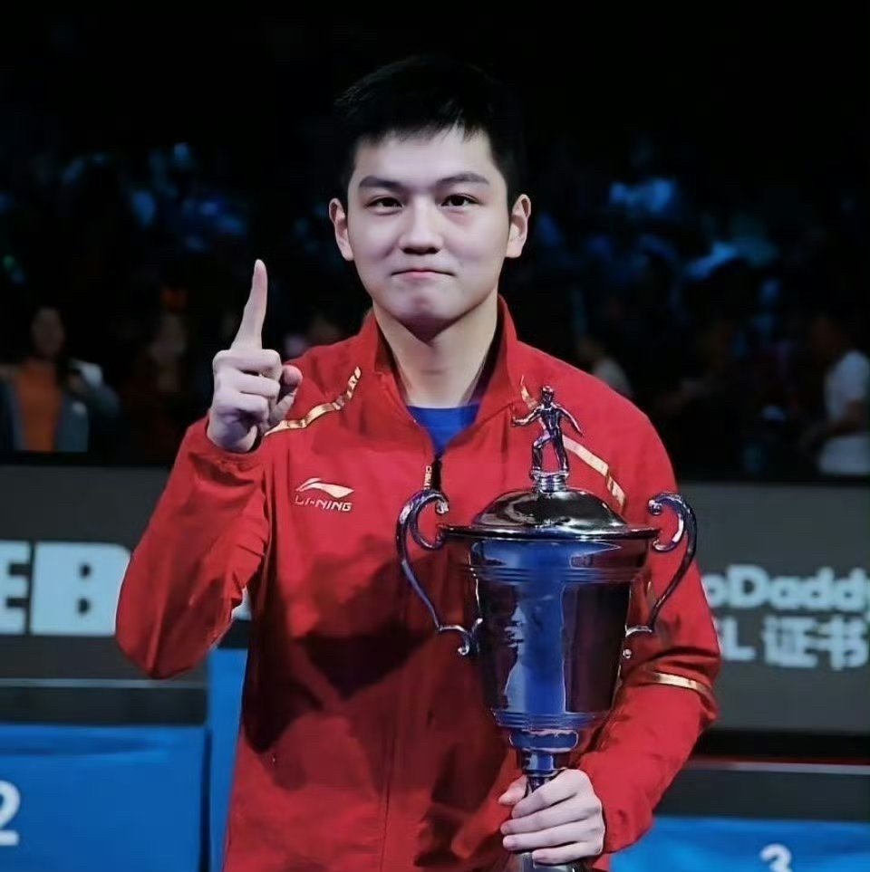 包含瑞典乒乓球队横扫英国乒乓球队，王皓高光表现的词条