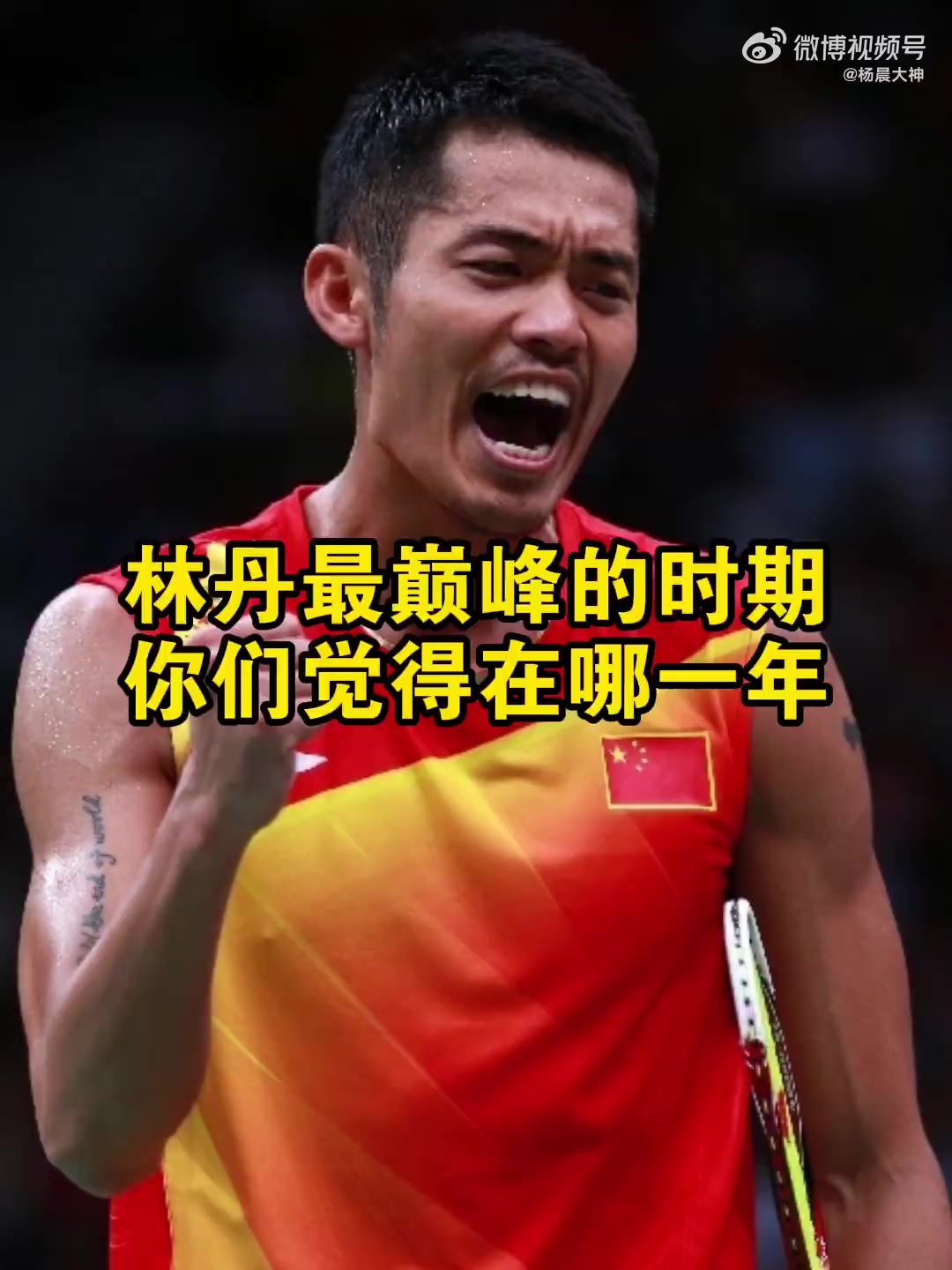 中国羽毛球队逆转丹麦羽毛球队，林丹打破历史纪录的简单介绍