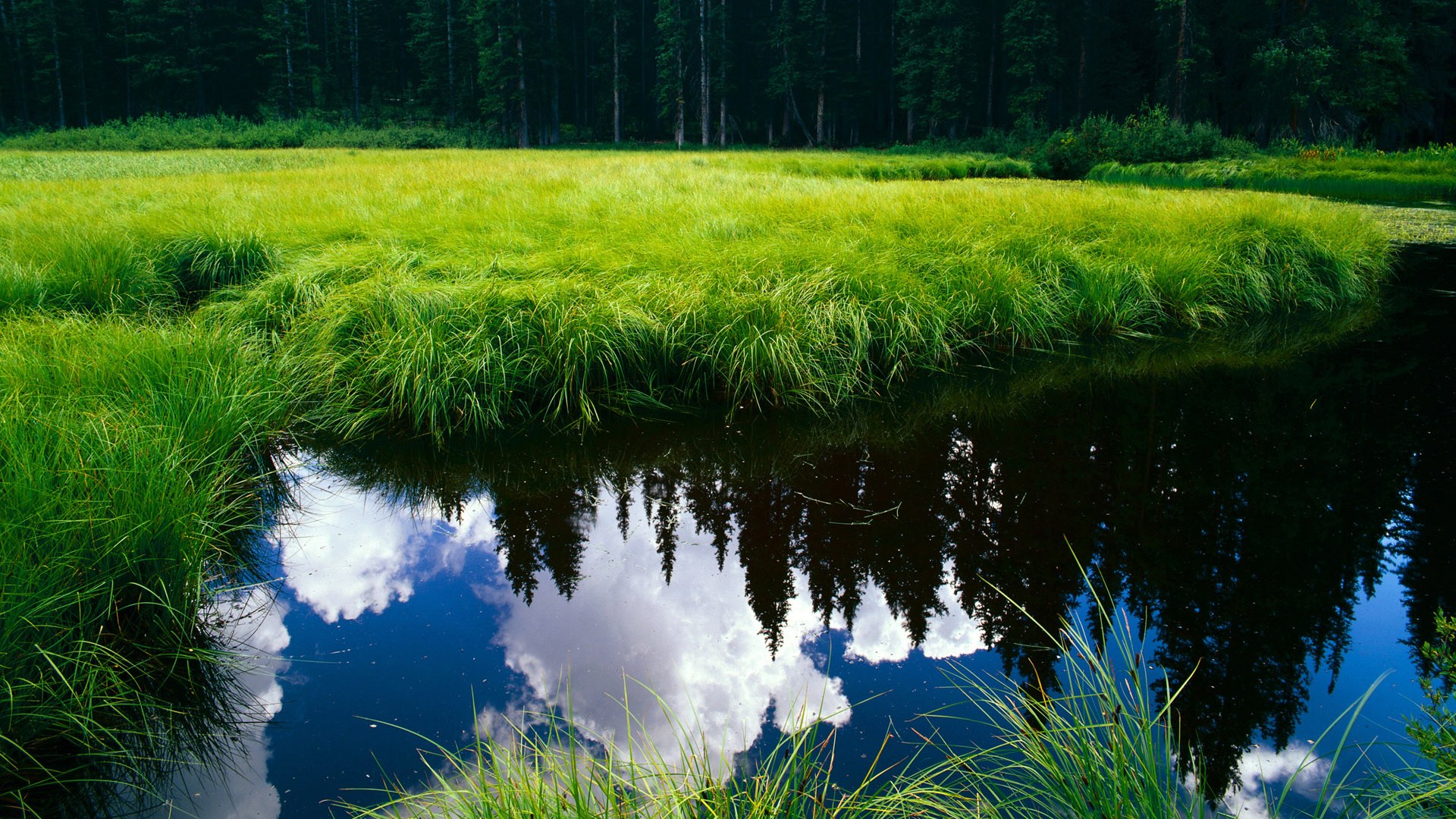 赛场双子星，意甲战术风暴与NBA青春对决