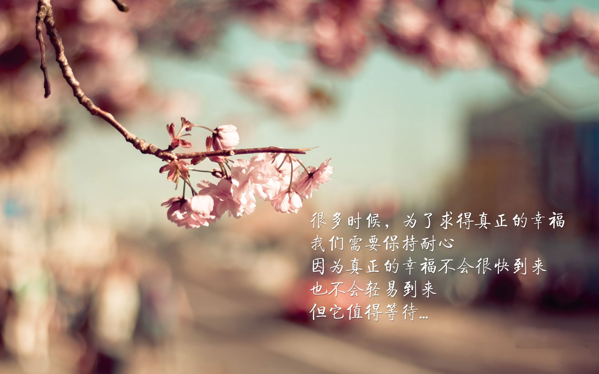 当桑巴的灵魂注入亚平宁，葡萄牙天才如何用一脚弧线终结塞维利亚神话