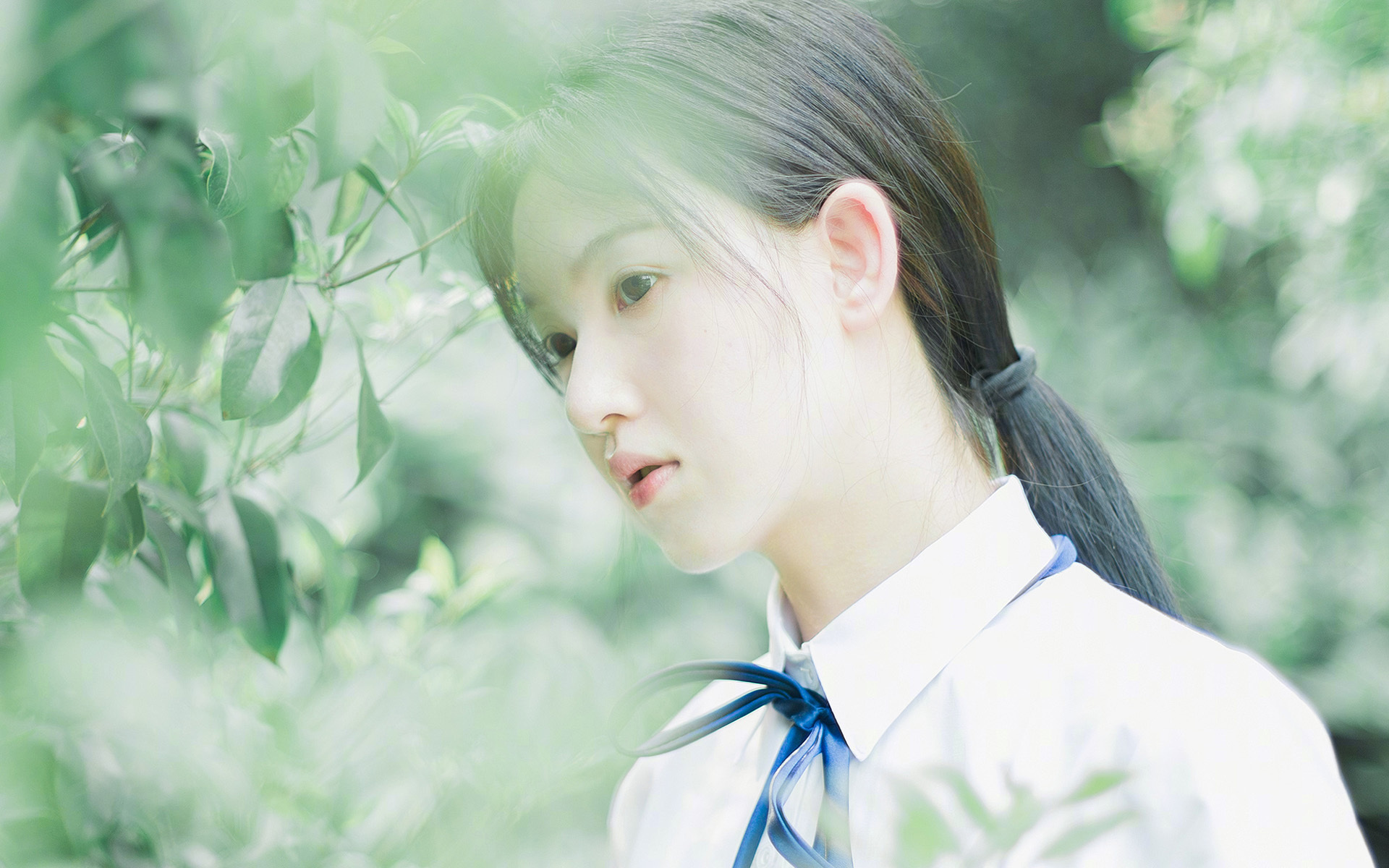 三分雨与红色风暴，个人英雄与团队铁壁的时代交响