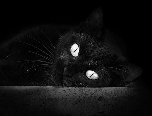 稳定输出的艺术，比利时对阵南非之战与卡塞米罗的不掉线哲学