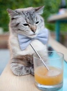 哈登关键先生显威,雄鹿一波流击溃森林狼